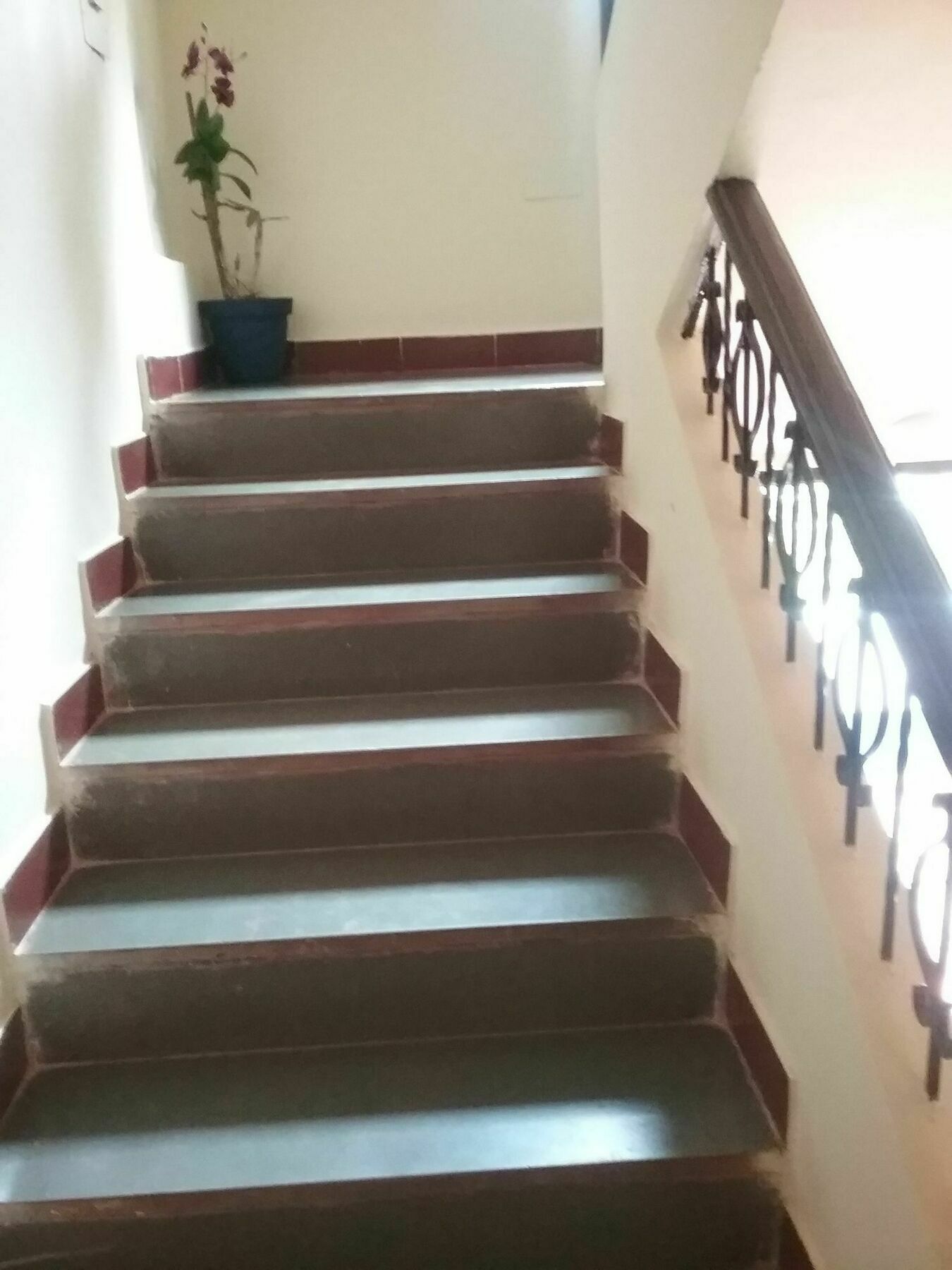 Hotel Baga Villa Bnb Saligao Εξωτερικό φωτογραφία